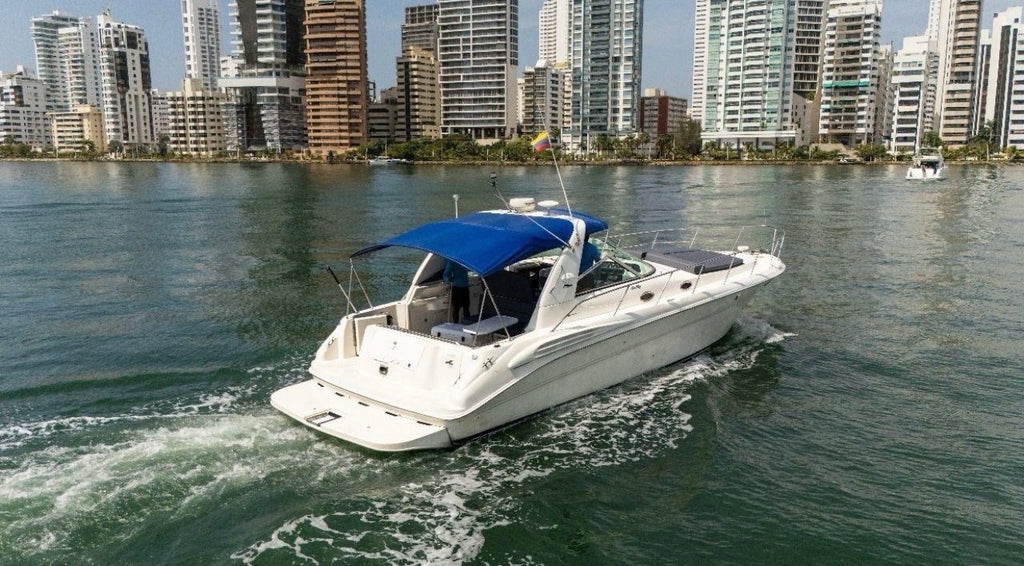 SEA RAY 42FT - 15PAX (FESTIVAL)